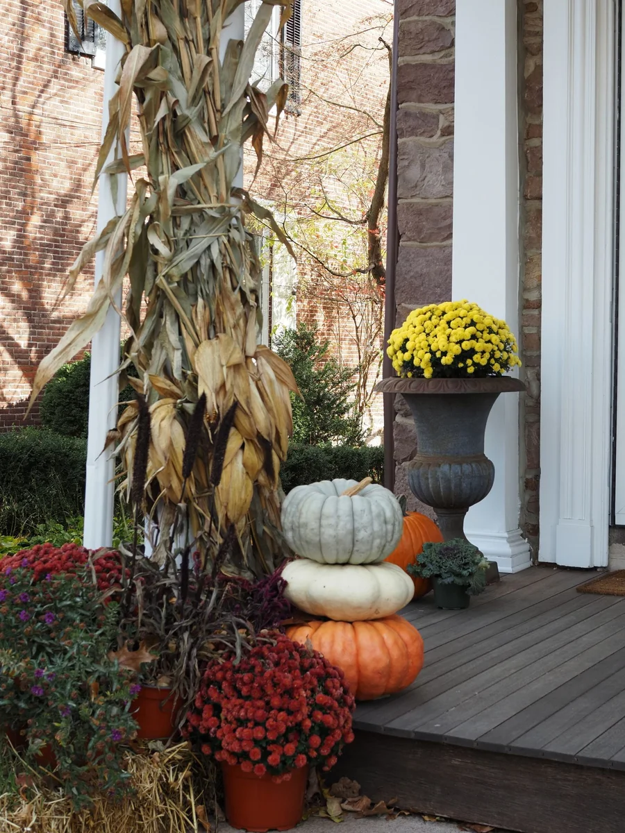 Covered front porch in autumn with heirloom pumpkins, potted mums, a grapevine wreath, and a coir doormat by a painted door